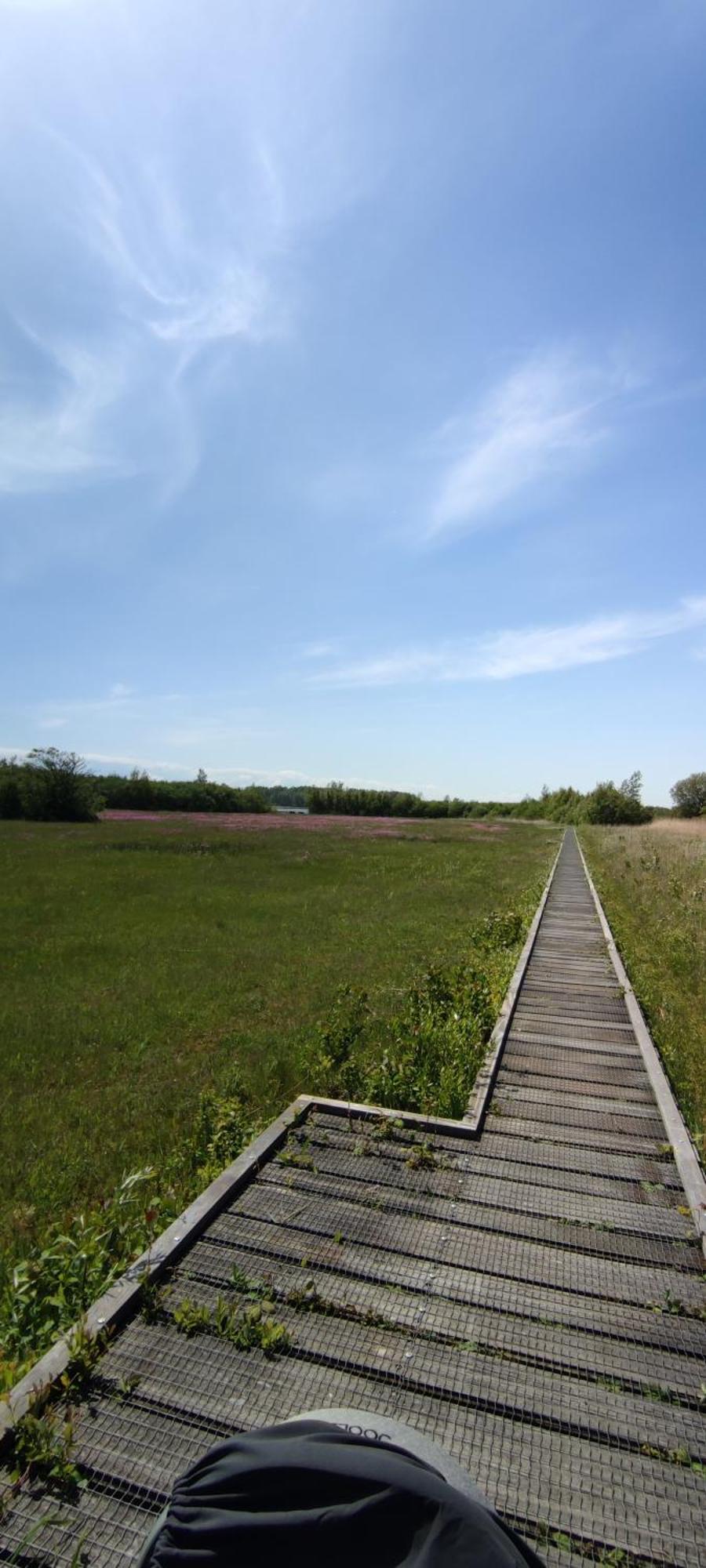 Mobilheim Herz Lauwersoog - Chalet Robbengat Luaran gambar